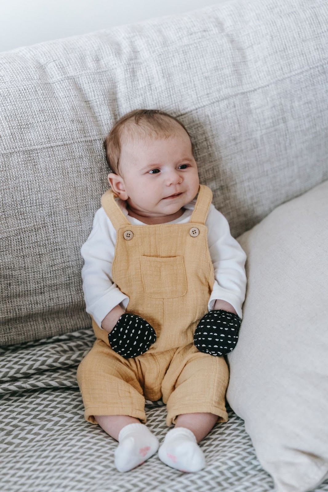 Top 10 Best Dog Breed Around Babies