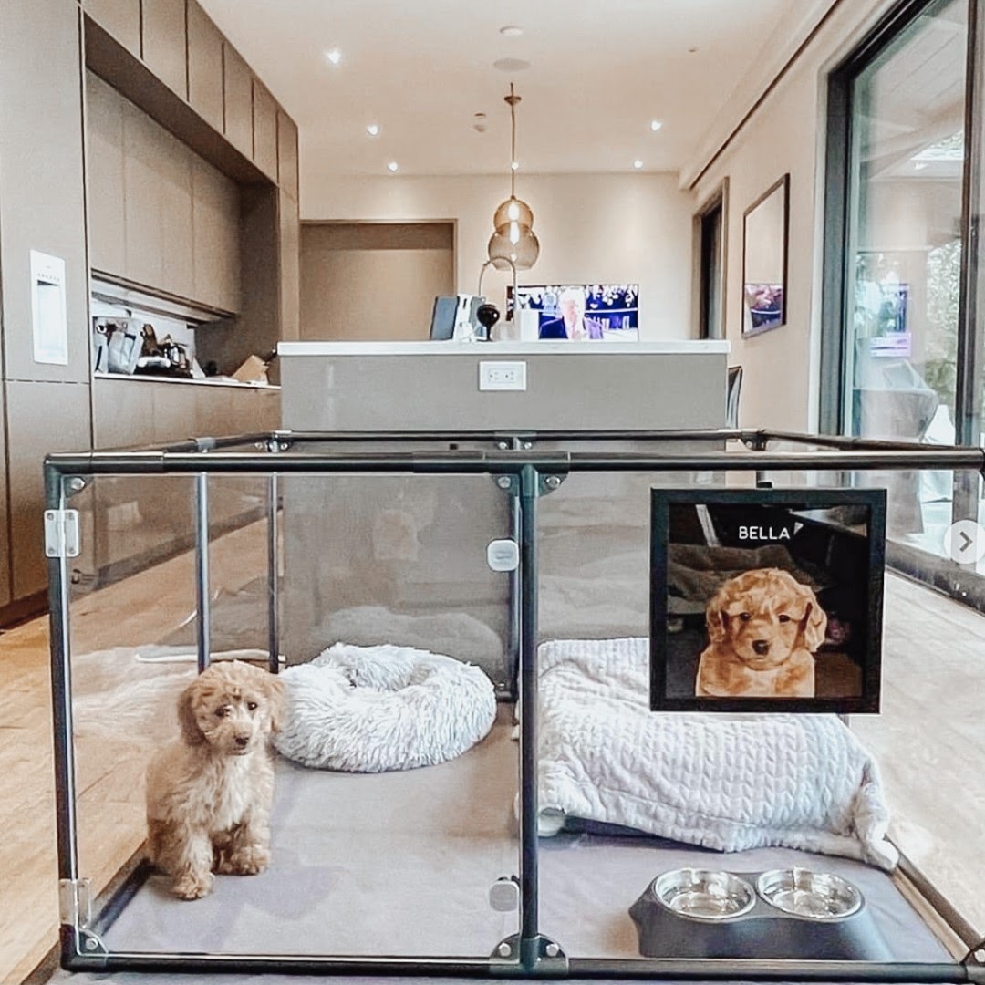 Most Affordable and Functional Kennel Ideas for Your Dog - PawCited