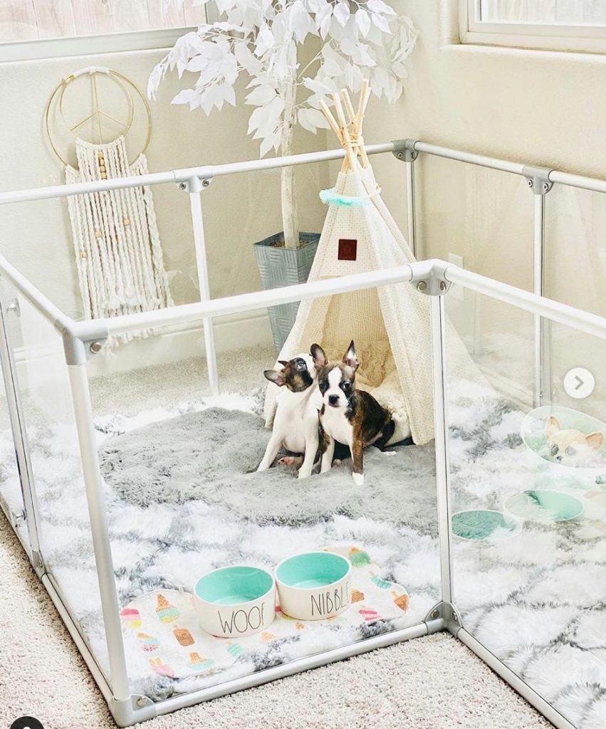 Most Affordable and Functional Kennel Ideas for Your Dog PawCited
