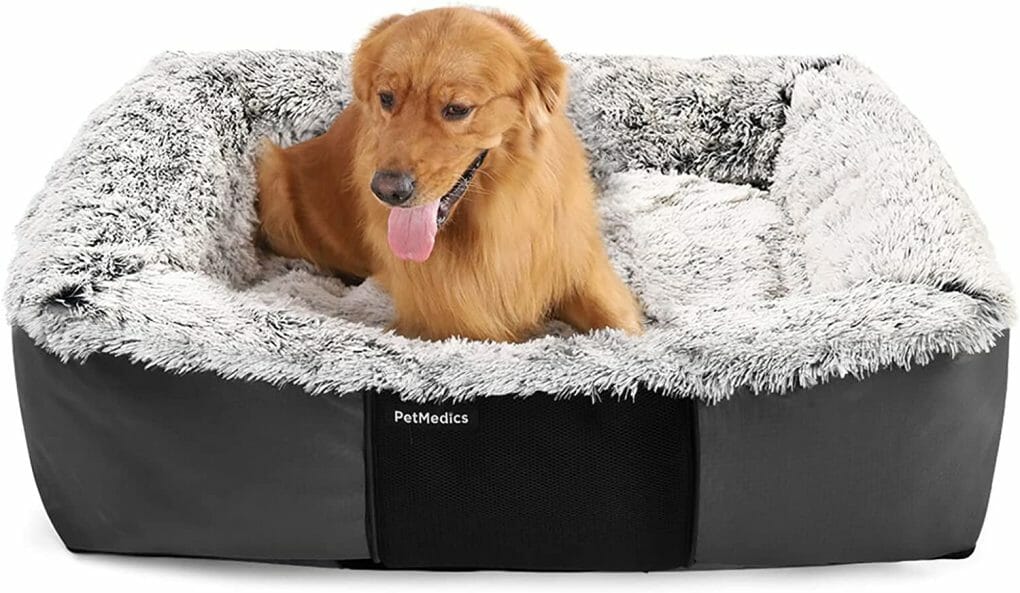 Best Dog Bed for English Mastiff 9 TopSellers You’ll Love