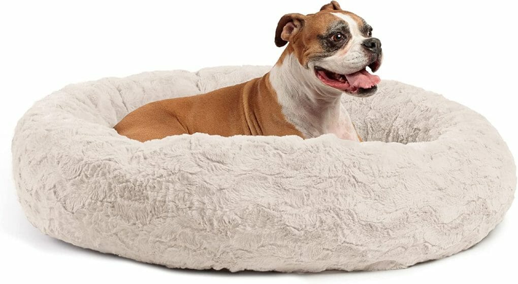 15 Best Dog Beds The Comfiest, According to the Experts