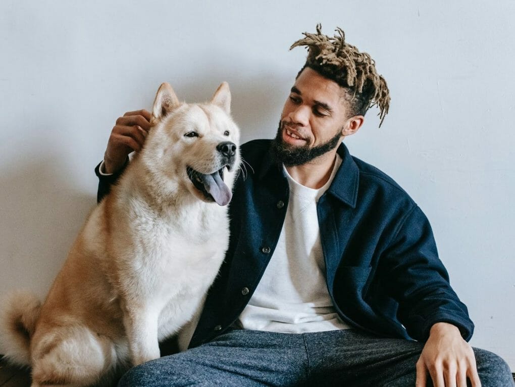 Best Dog Rescues for Aggressive Dogs [8 Places You Can Visit] PawCited