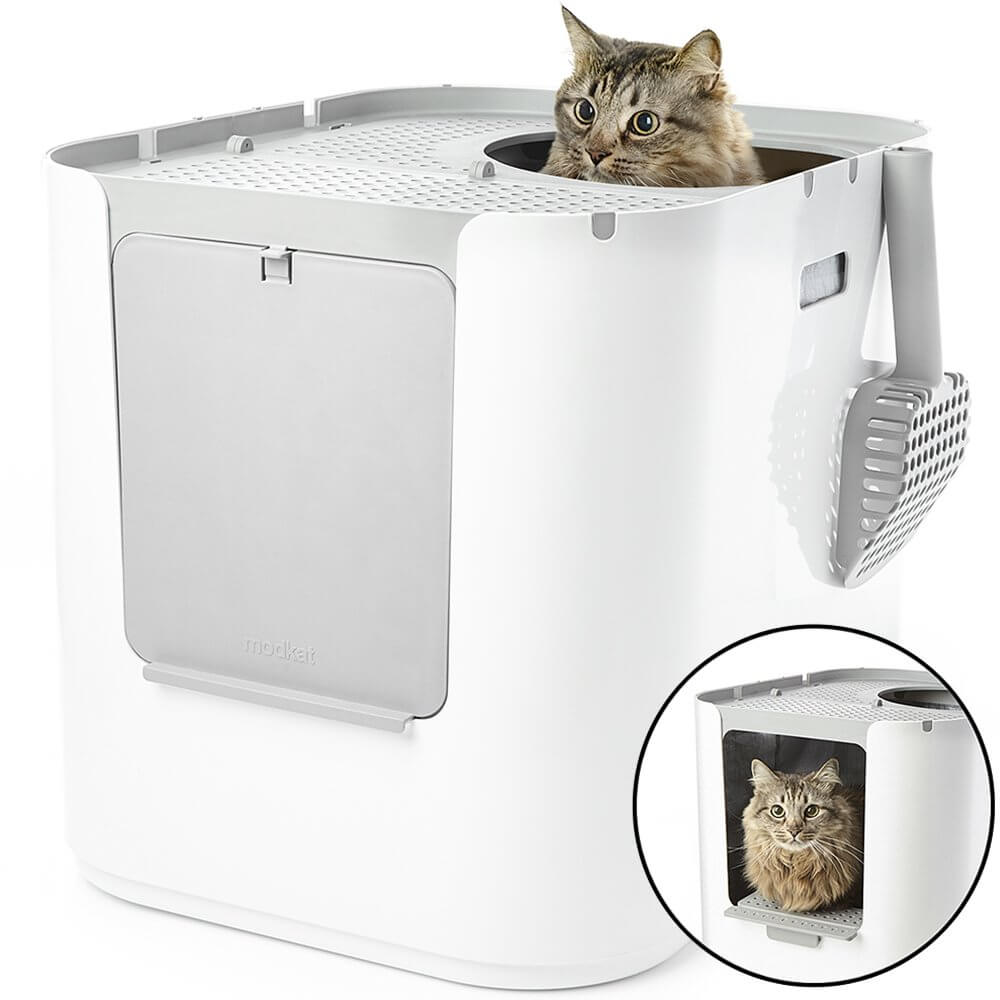 The Best Top Entry Cat Litter Boxes in 2021 PawGearLab