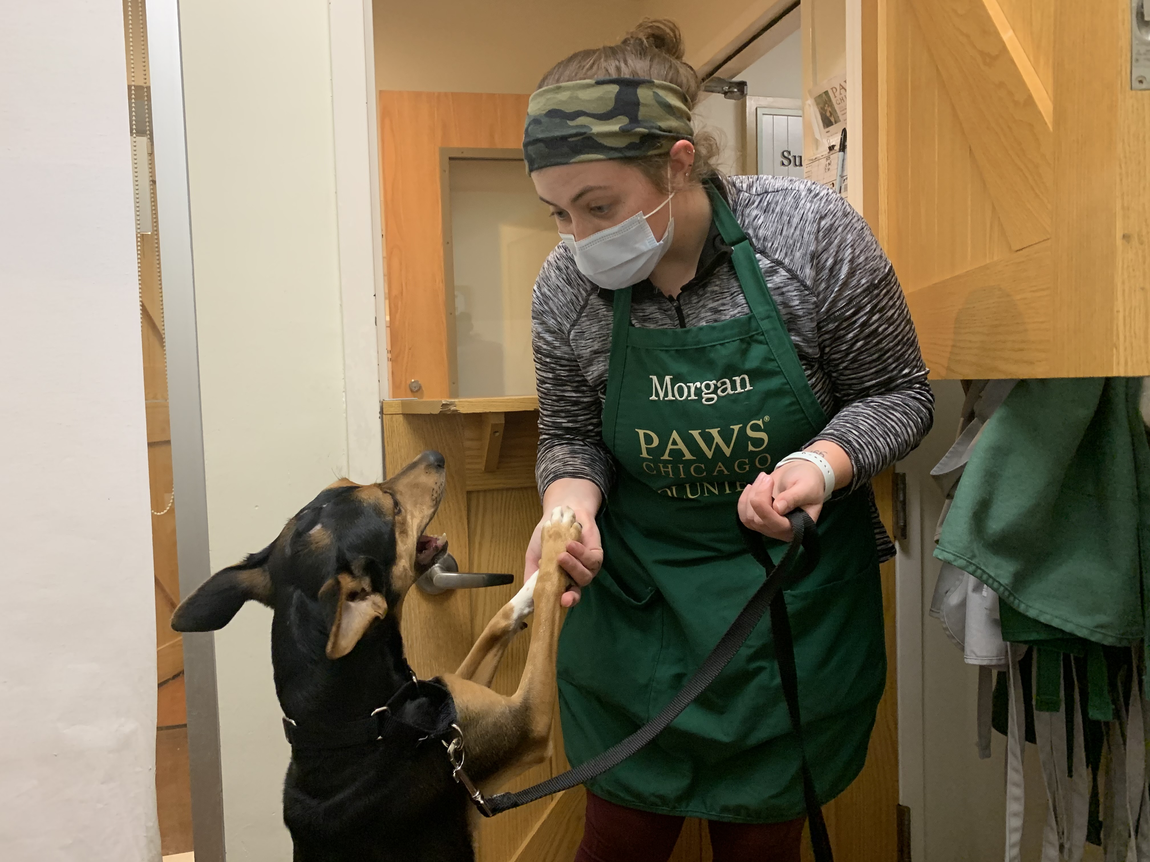 Peacock Volunteers of the Month PAWS Chicago