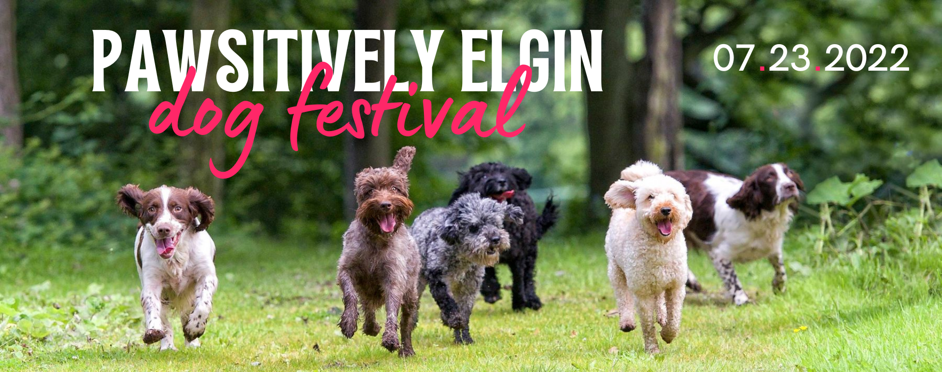 dachshund festival 2023 Home Pawsitively Elgin Dog Festival