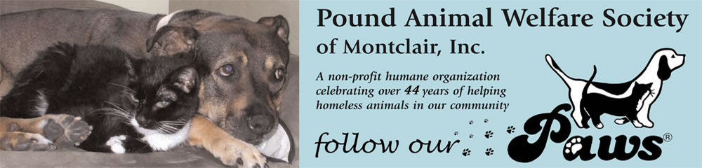 Pet Adoption in Montclair NJ PAWS Montclair Inc.