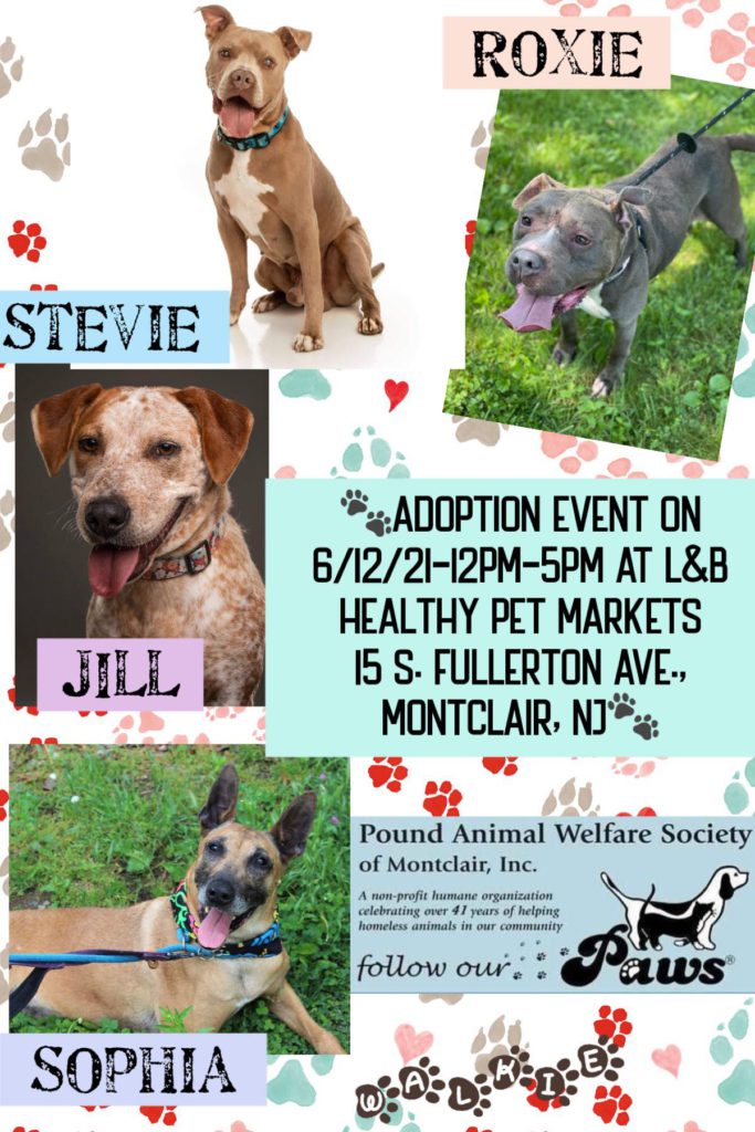 Adoption Event June 12th PAWS Montclair
