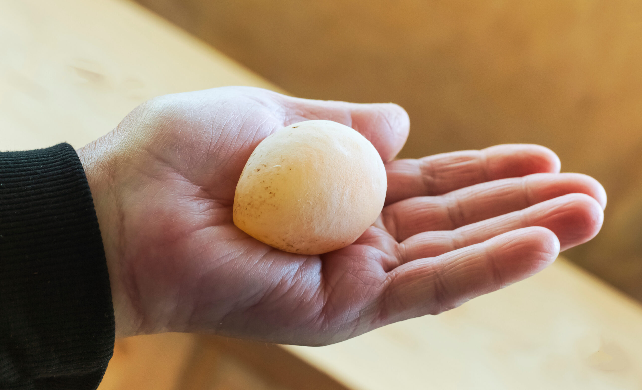 Reader question What causes soft shelled eggs?