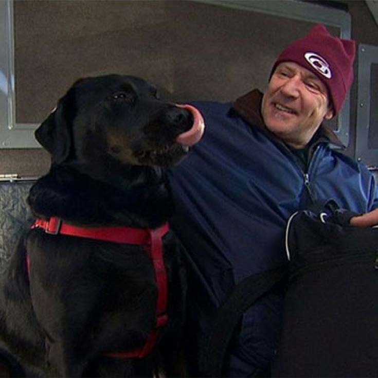 Spectacular Seattle Dog Rides Bus to the Park on Her Own PawSoCute