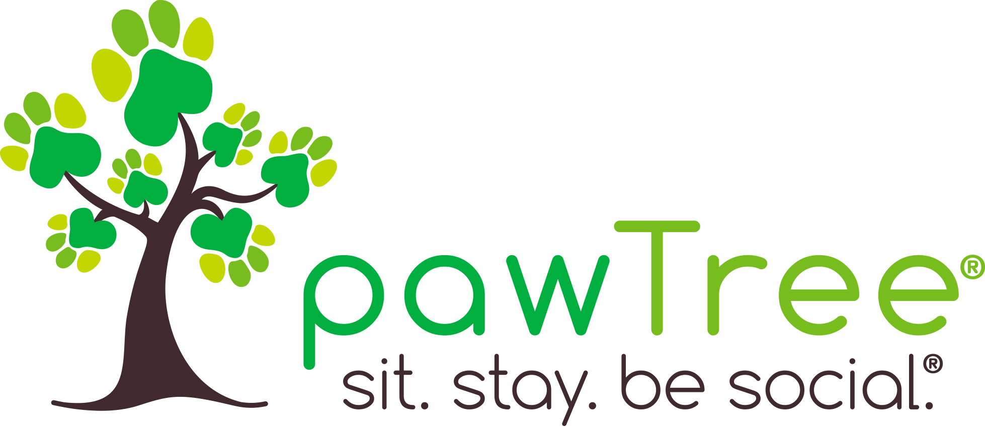 Pawtree Natural Pet Food Franchise Costs and Franchise Info for 2022 Franchise Clique