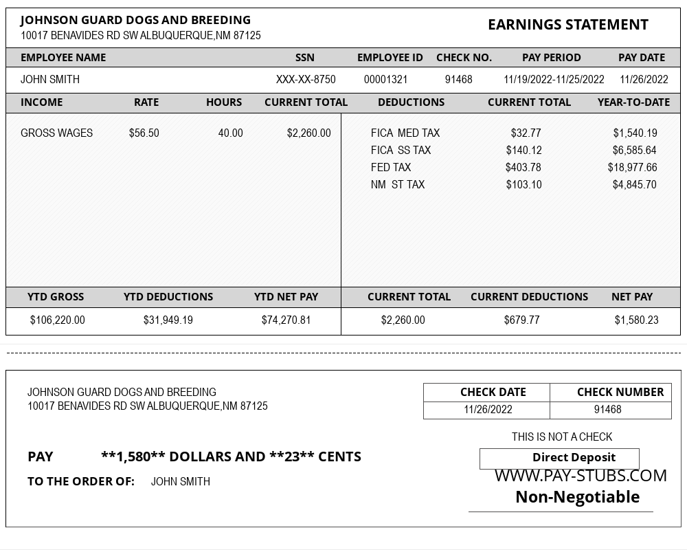 New Mexico Paystub Generator