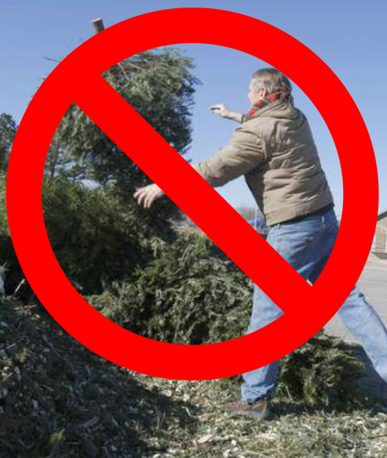 Santa Fe Christmas Tree Disposal 2024 Home Payne's Nurseries