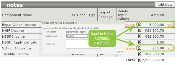 Expatriate Payroll Management Ensure Compliance Expatriate Payroll