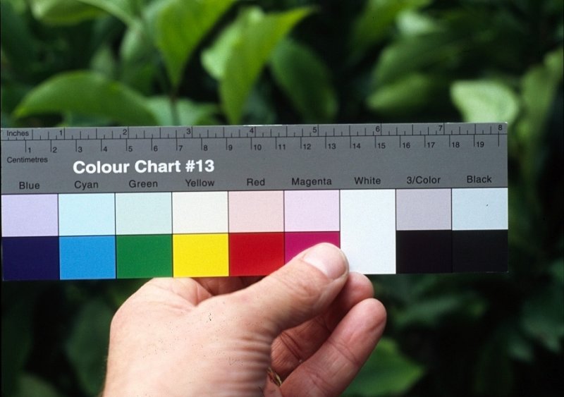 The Kodak Q13 chart is for process colors... Open Talk Forum Digital