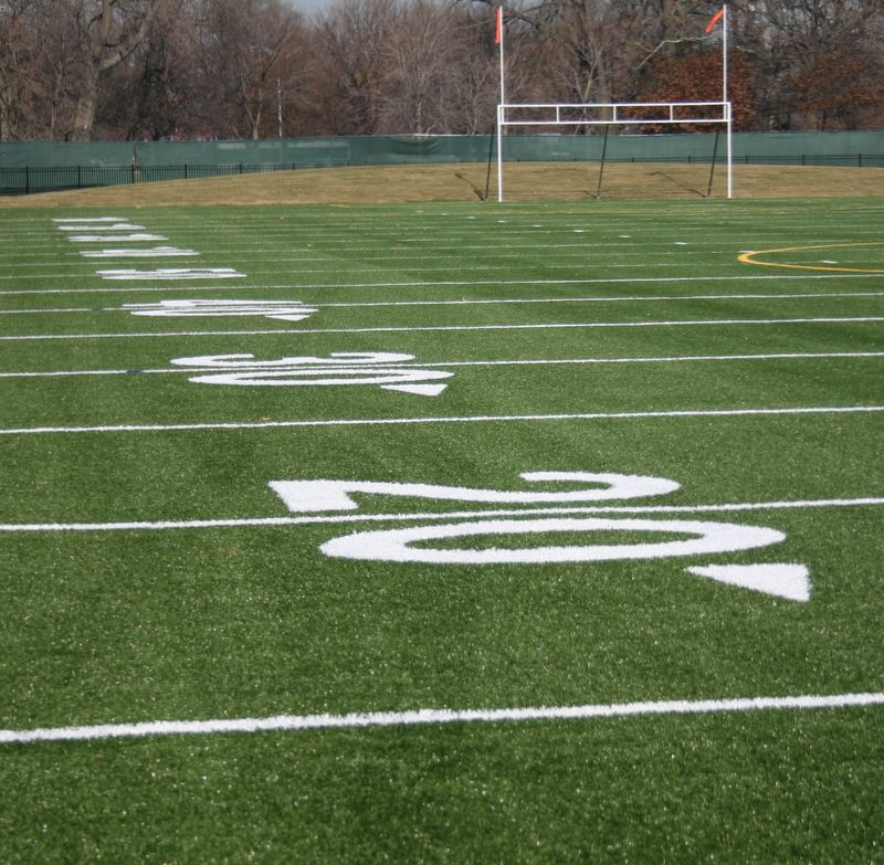 Douglas Park Artificial Turf PBC Chicago