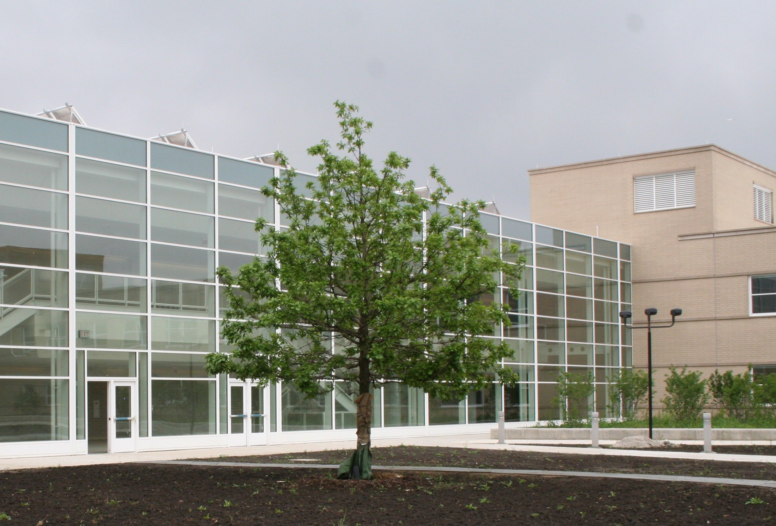 George Westinghouse College Prep - PBC Chicago