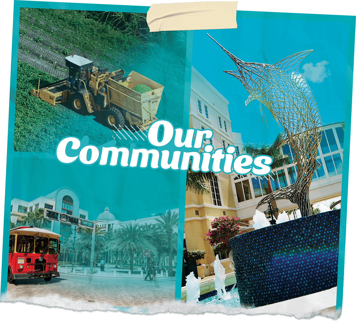 Guide Constitutional Tax Collector