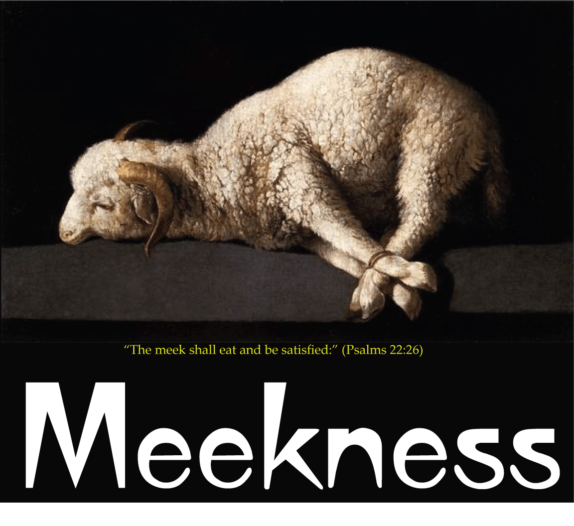 Meek Does Not Mean Weak