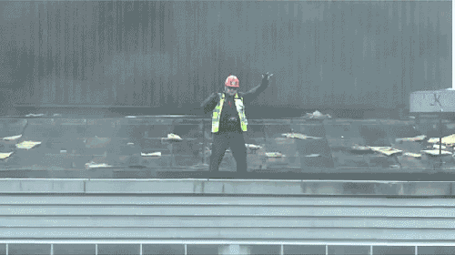 The 34 Craziest WTF GIFs You'll Ever See