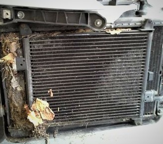 Expert Solutions for Porsche Macan Common Problems