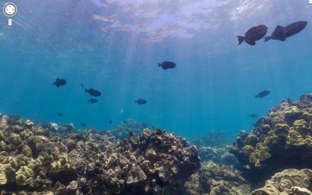 Sea View Google Maps funktioniert nun auch unter Wasser