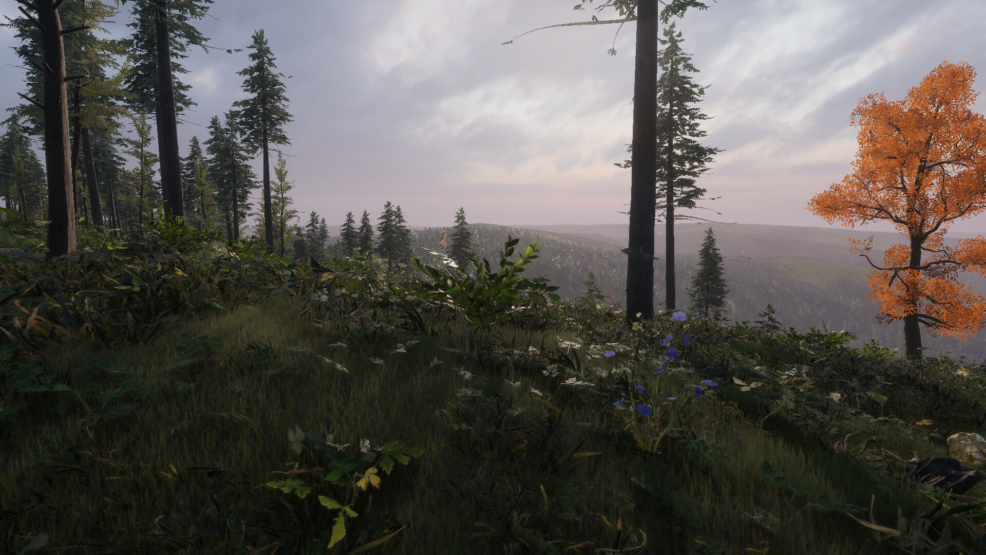 Prologue game release date estimate, trailers, and latest news