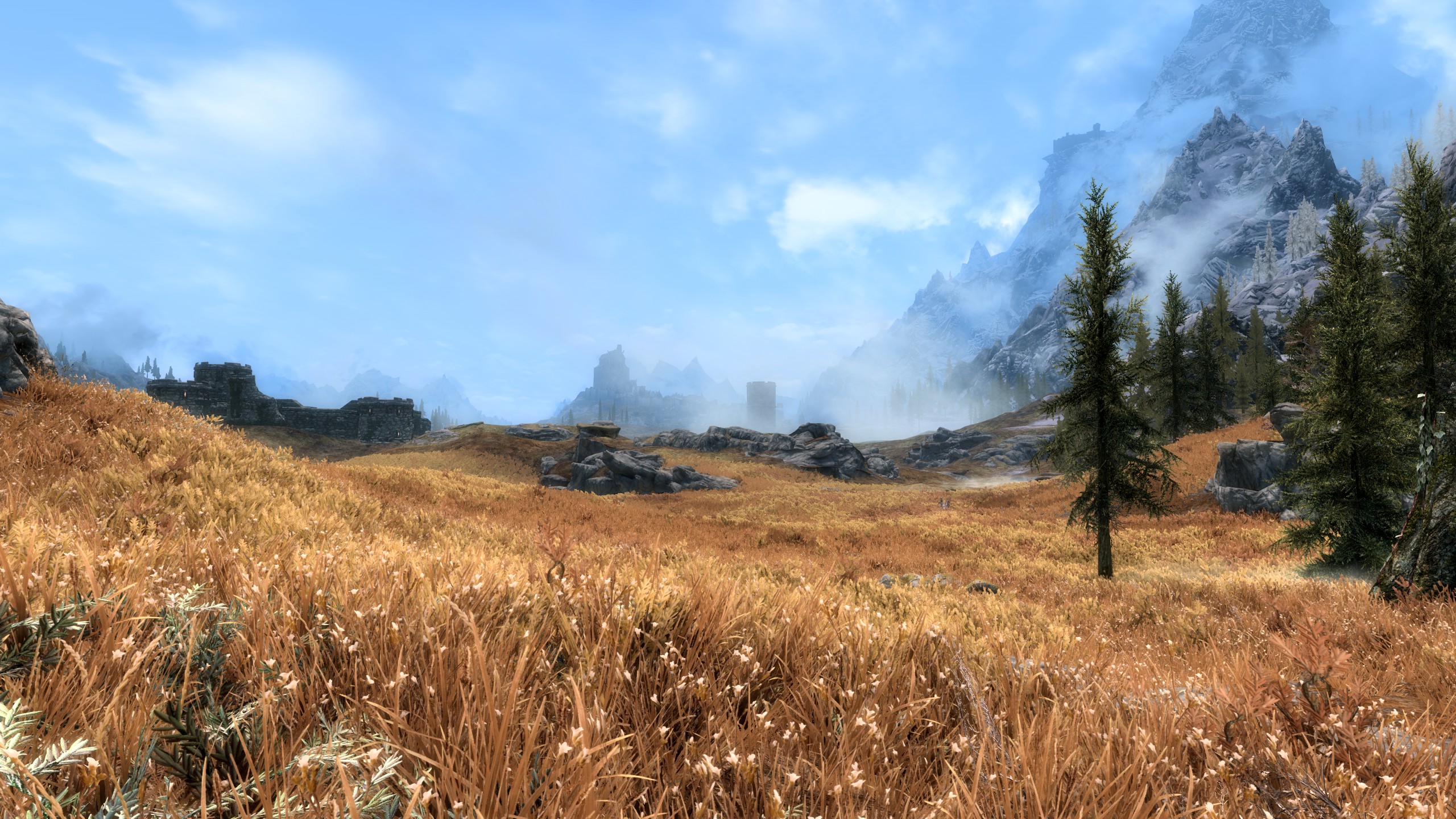 This Skyrim grass mod triples your foliage without torching your PC