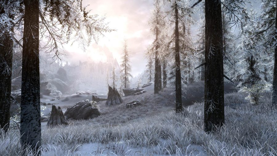 This Skyrim grass mod triples your foliage without torching your PC