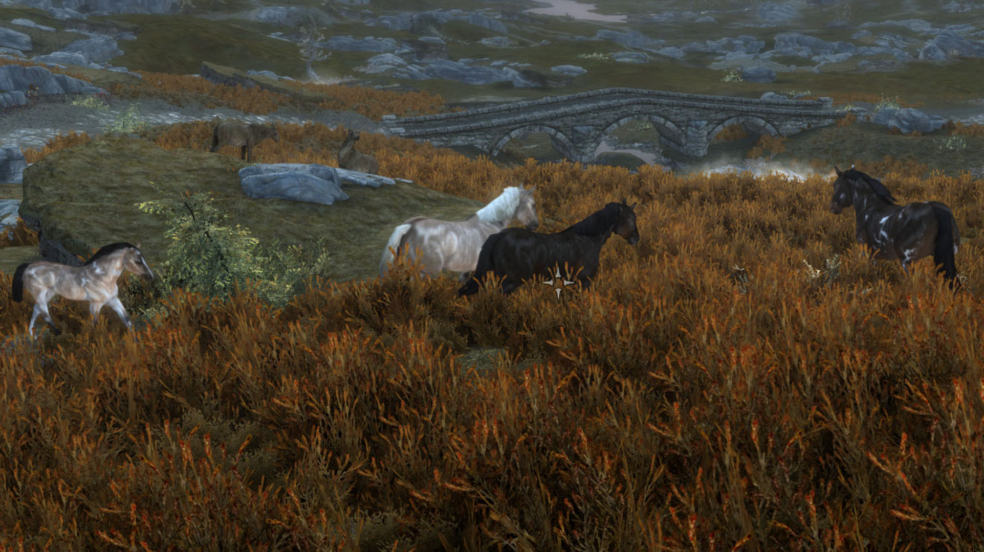 This Skyrim mod adds a ton of new horses, including a ghost stallion