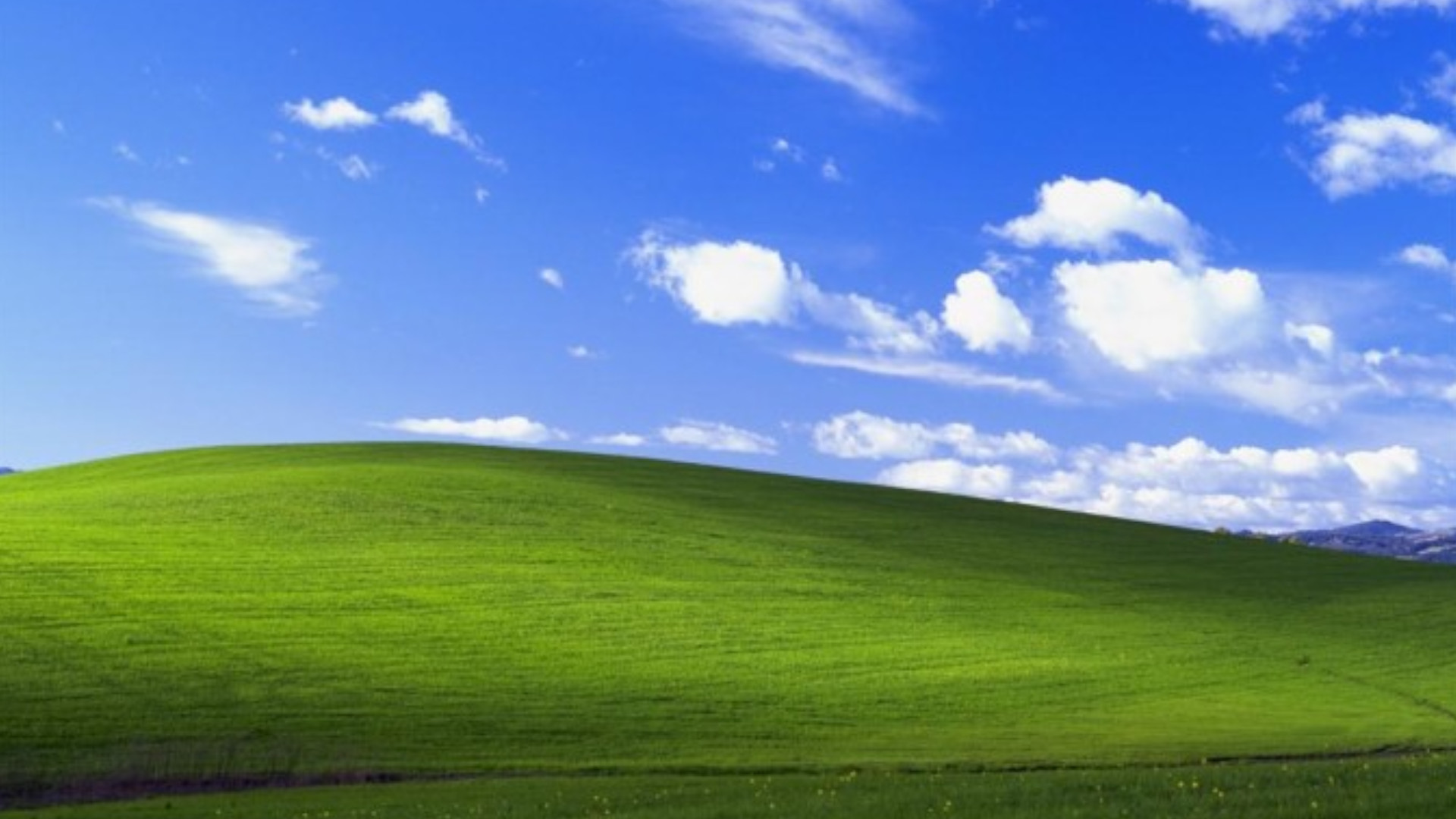 Windows XP source code is reportedly circulating the PCGamesN