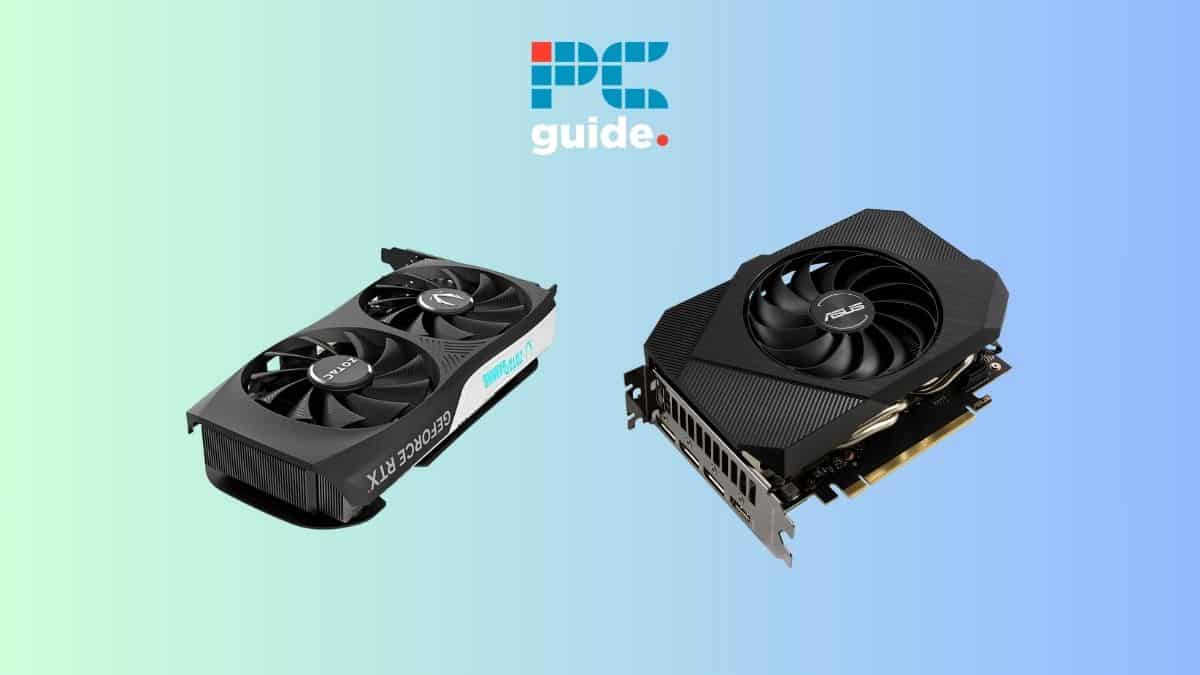 Best Gpu 2024 Budget Nat Laurie