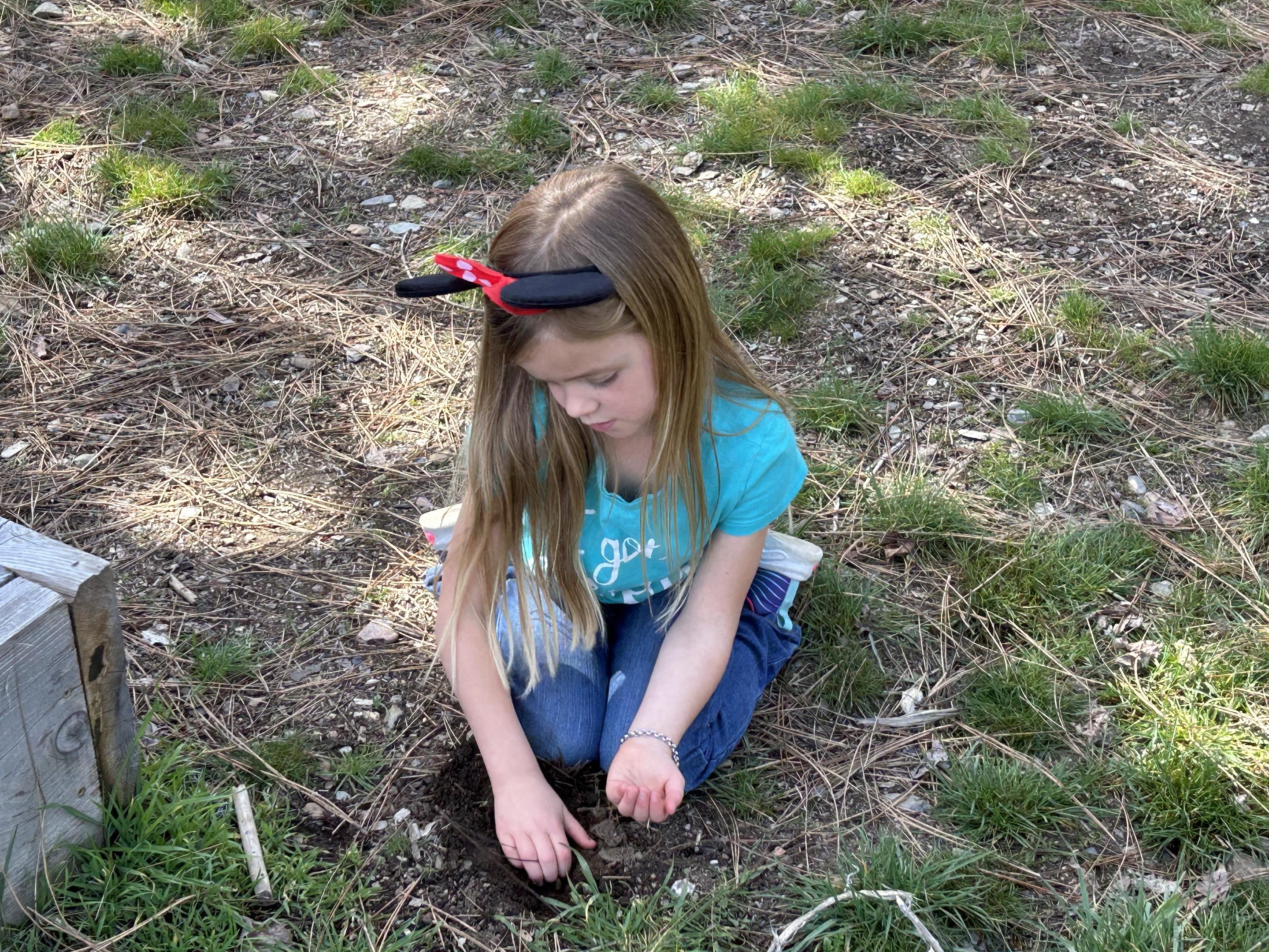 Spring has sprung at Quincy Elementary's Pioneer Campus Plumas