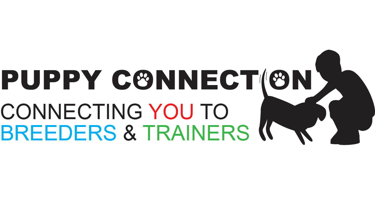 Puppy Information Puppy Connection