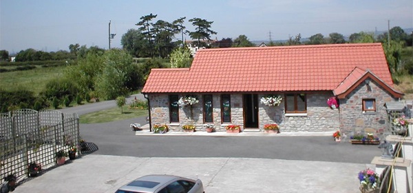 Pet Cremation Services in Caldicot, Wales 01633 881652