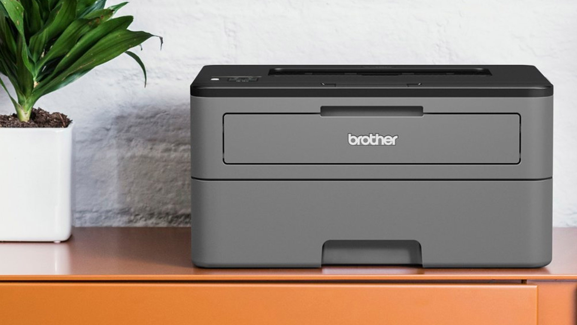 The cheap laser printer I love is  right now