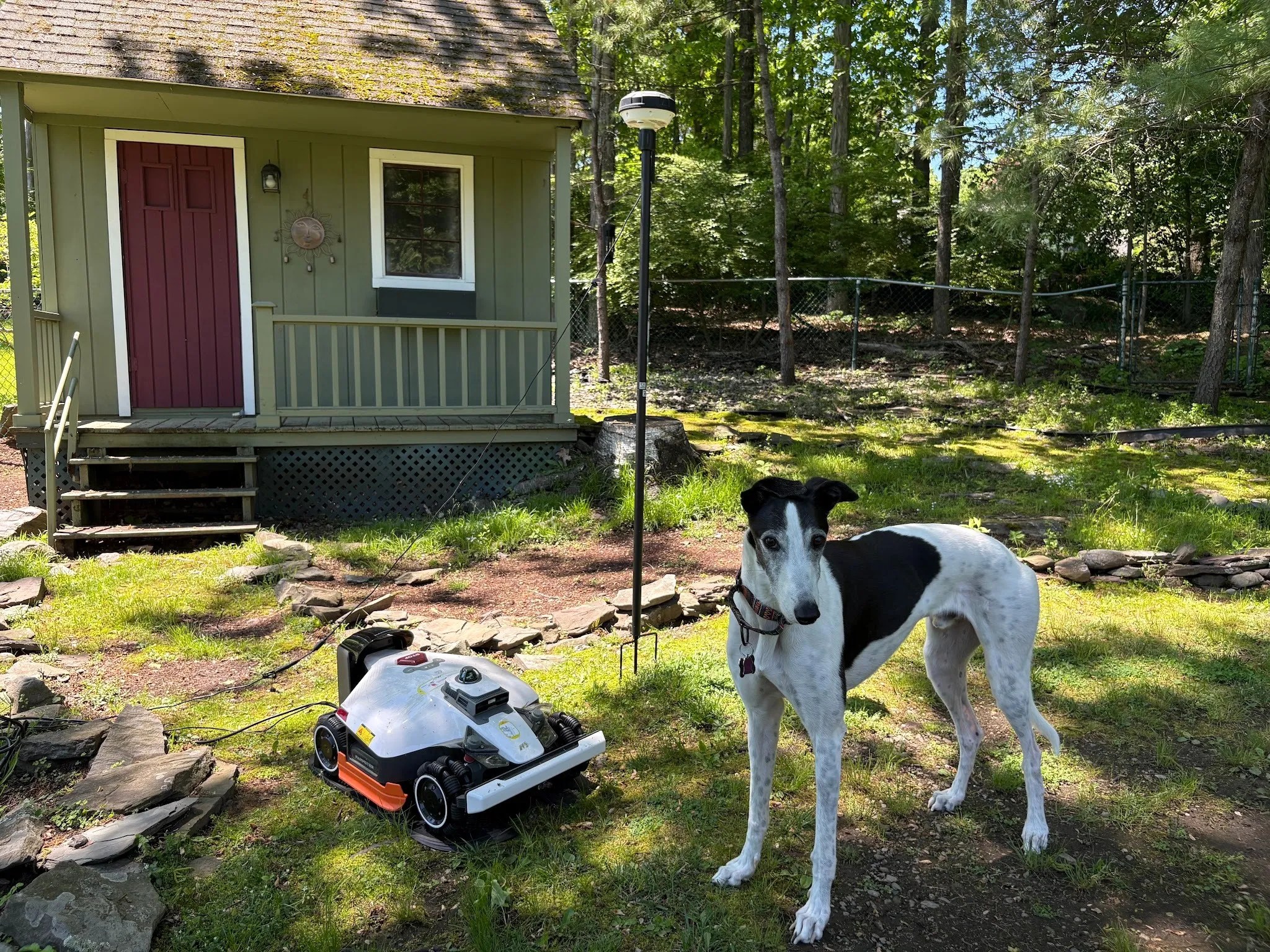 Mammotion Luba 3 AWD review: This robot mower conquered my chaotic lawn