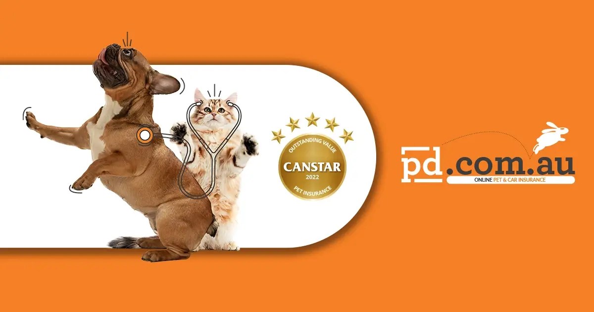 Pet Insurance Australia Big Savings Online PD Insurance