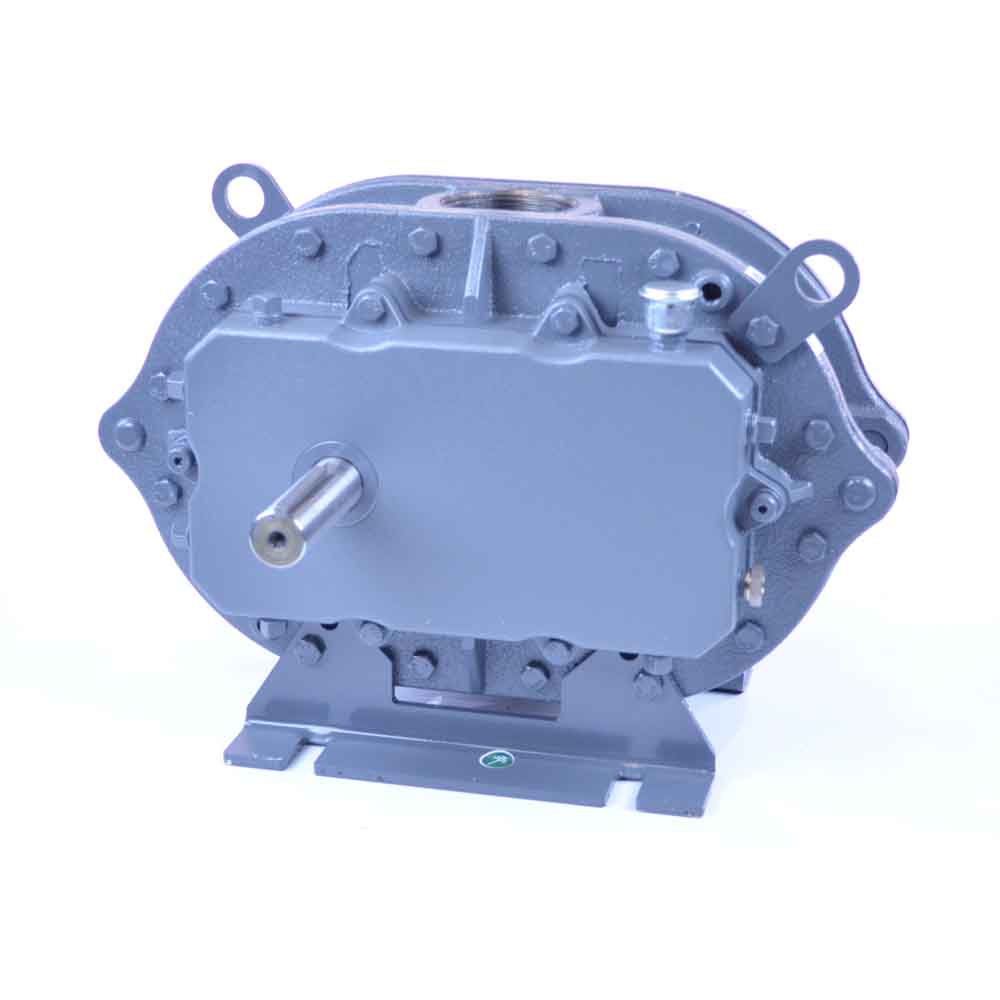 Roots 53 Universal RAI® DSL Rotary Positive Displacement Blower