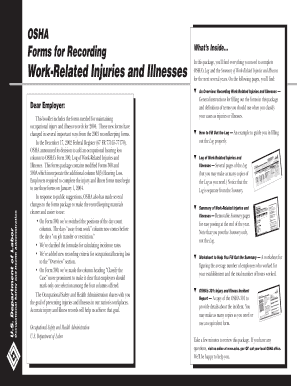 18 Printable Osha Form 300 Templates - Fillable Samples in PDF, Word to