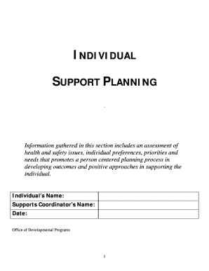 Individual Support Plan - Fill and Sign Printable Template Online