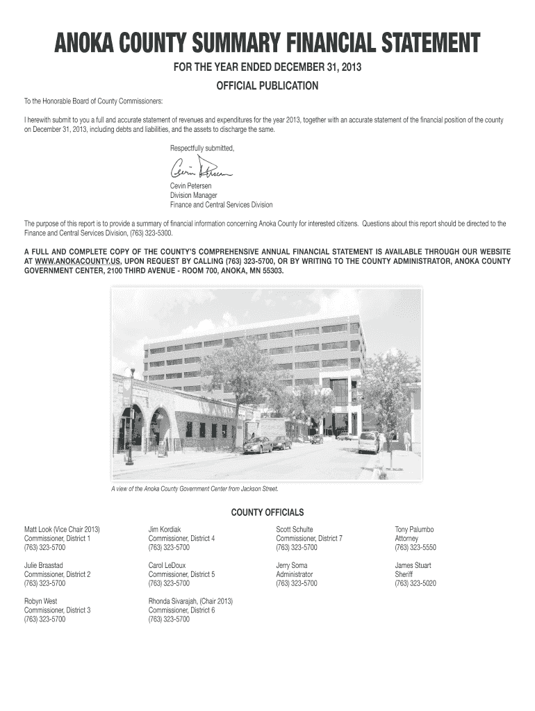 Fillable Online ANOKA COUNTY SUMMARY FINANCIAL STATEMENT Fax Email Print pdfFiller