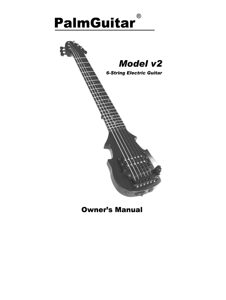 Fillable Online PalmGuitar Model v2 6String Electric Guitar Owners