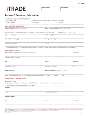 Sit300 - Fill and Sign Printable Template Online