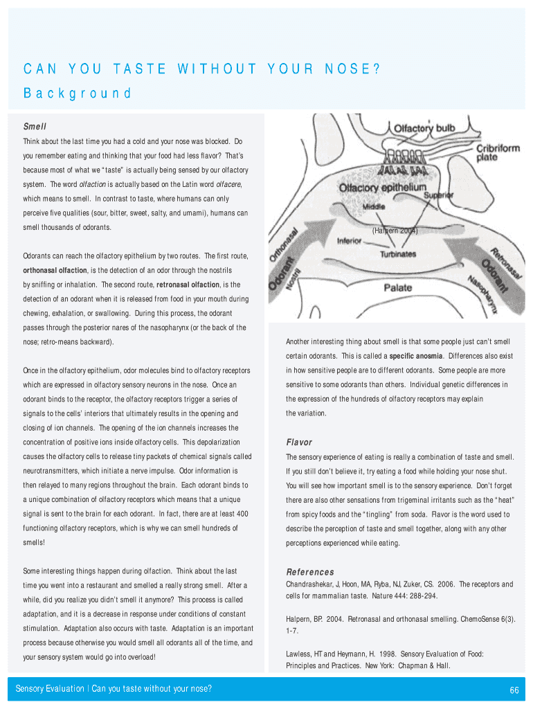 Fillable Online CAN YOU TASTE WITHOUT YOUR NOSE Fax Email Print pdfFiller