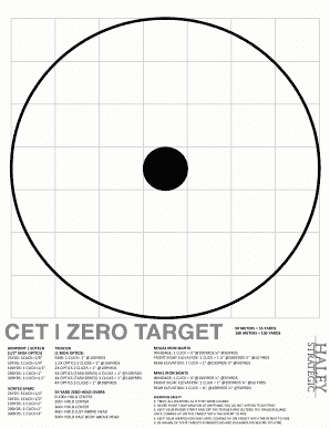 Zero Target 2020-2025 - Fill and Sign Printable Template Online