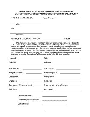 Fillable Wayne County Indiana Financial Declaration Form - Printable