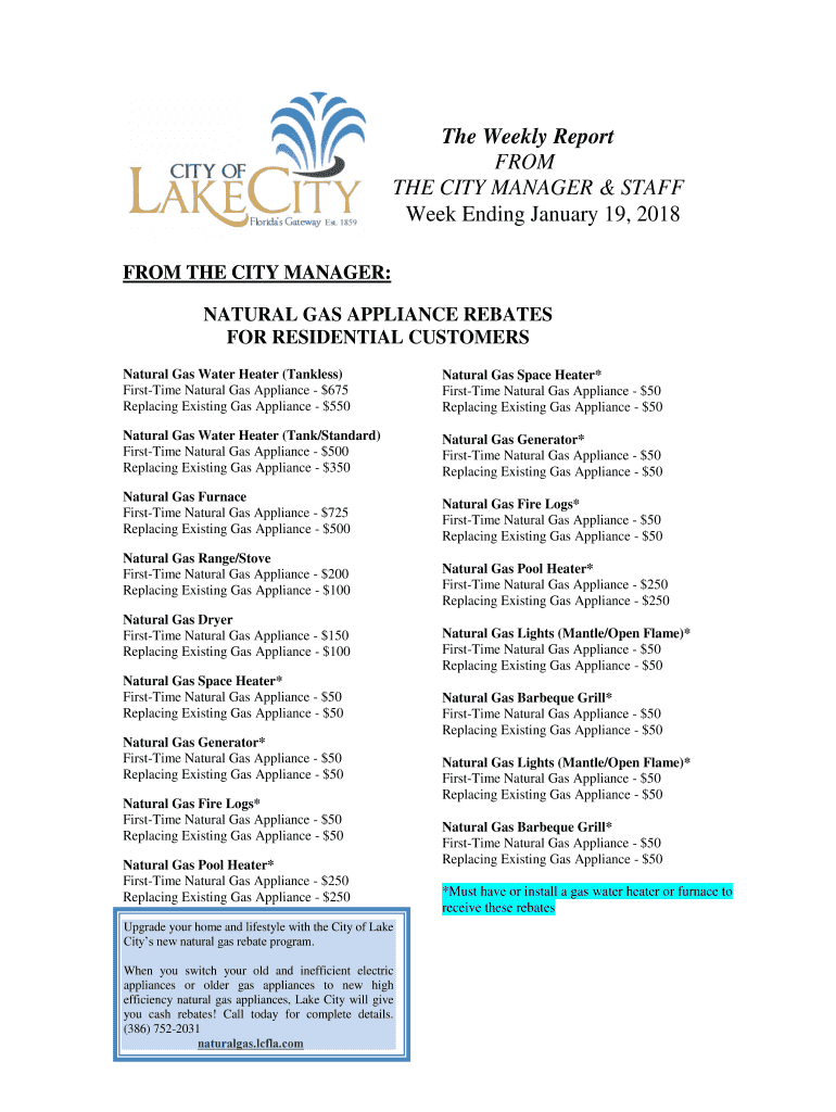 Fillable Online NATURAL GAS APPLIANCE REBATES Fax Email Print pdfFiller