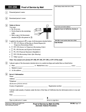 Dv250 - Fill Online, Printable, Fillable, Blank | pdfFiller