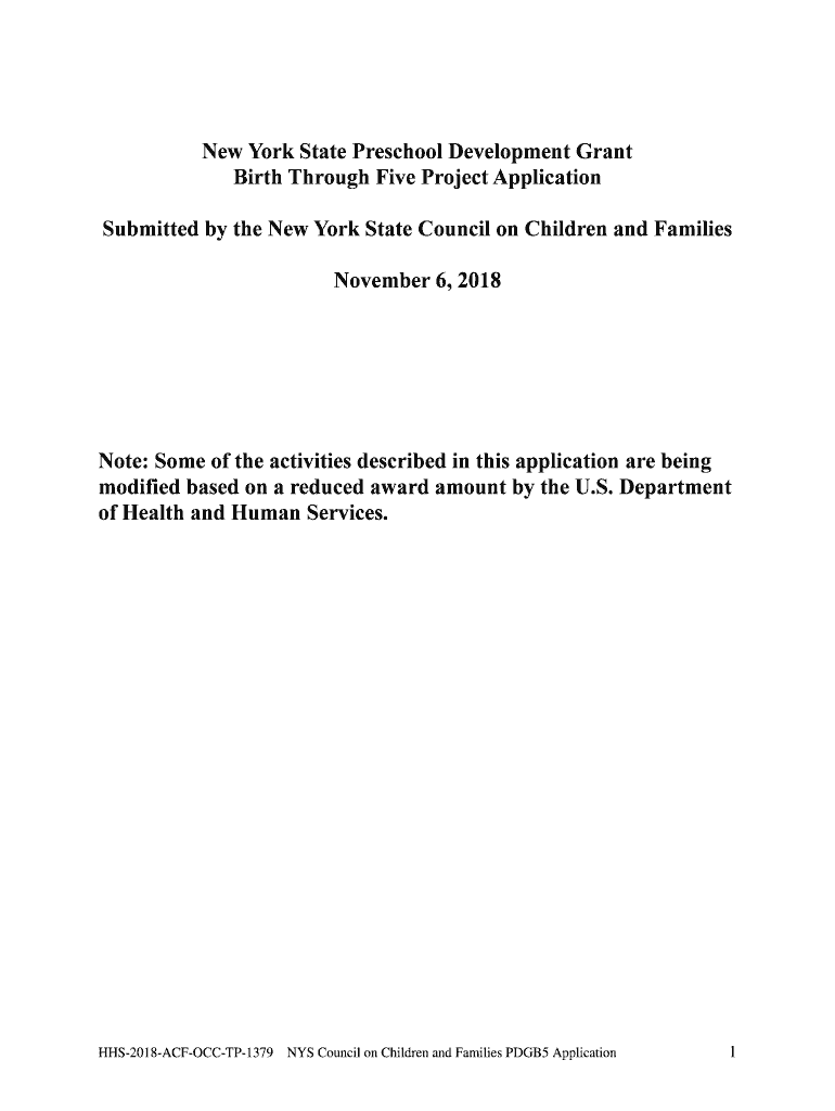 Fillable Online New York State Preschool Development Grant Birth Through Five Fax Email