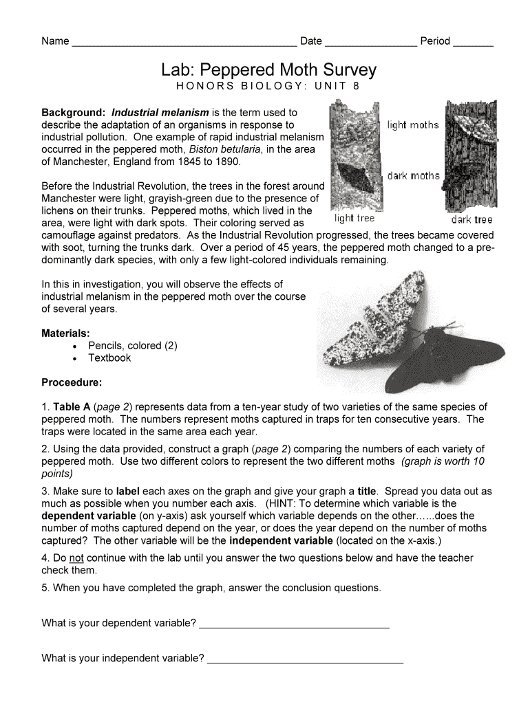 Lab Peppered Moth Survey Biology Fill Online, Printable, Fillable